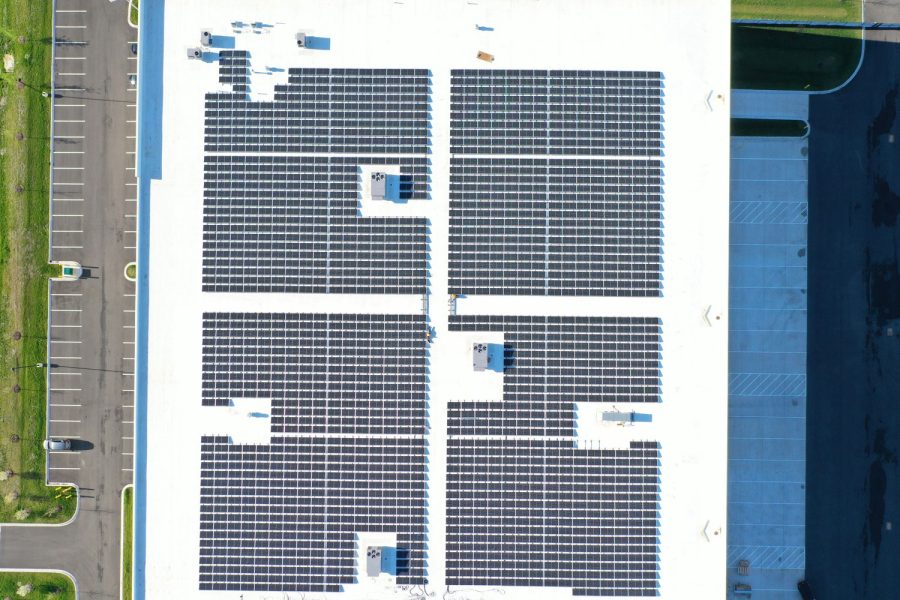 Alma Environmental Partners project dolphin