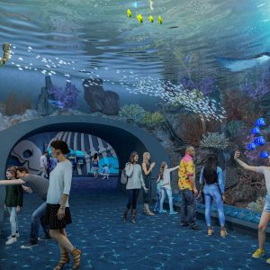 shedd aquarium renovation rendering