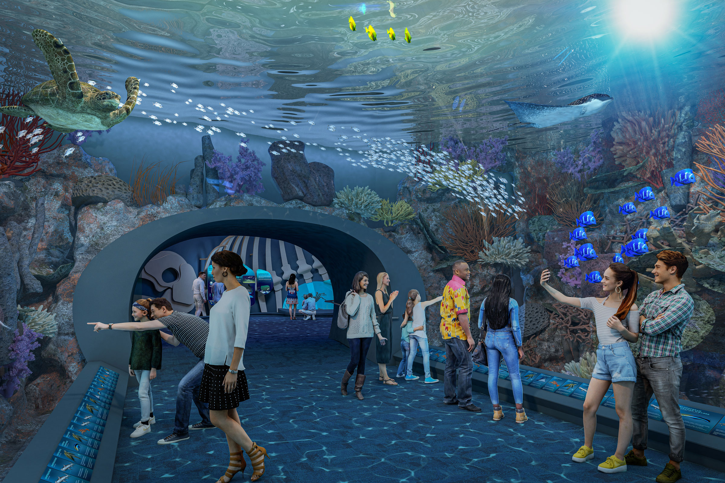 shedd aquarium renovation rendering