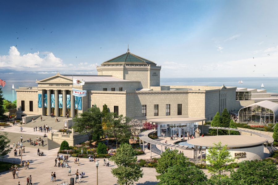 shedd aquarium renovation rendering 02