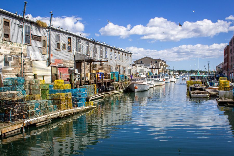 portland-maine-Serena-Folding-IMG_7713