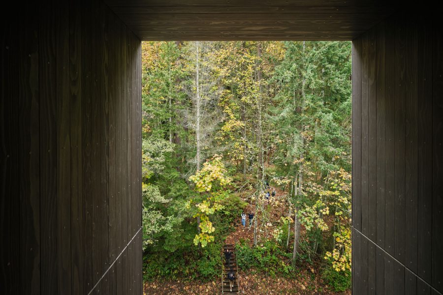 Kaiser Borsari Hall design forest