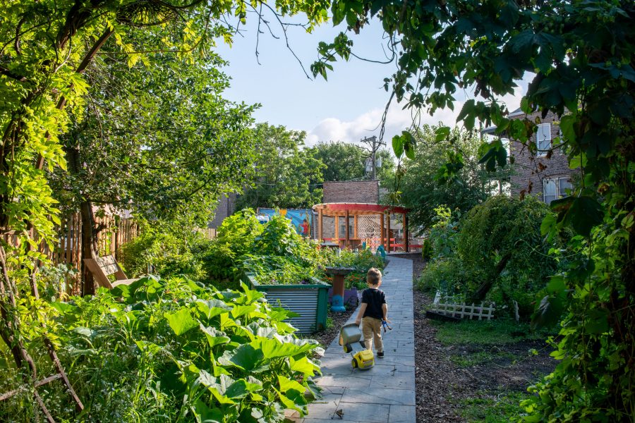 ace-mentor-Chicago-garden--ACE-DB-26_FLDA-SOM_01